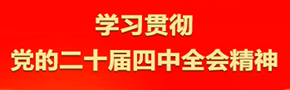 学习贯彻党的二十届四中全会精神